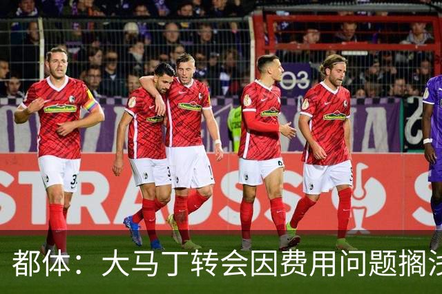 都体：大马丁转会因费用问题搁浅，尤文转而瞄准铃木彩艳维卡里奥